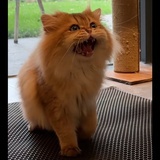往后