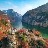 已注销