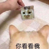 时间之箭