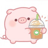 flyingpiggy🐽