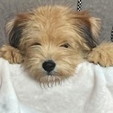 喜欢看雪