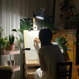 坞恩