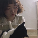 杨杨