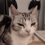 杰
