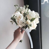 糖不吃小姐