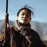 一只福柴