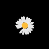 桑扣