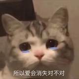 夜夜夜夜