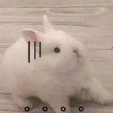 满船清梦压星河