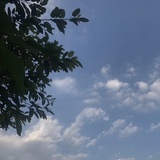 落落