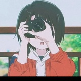 无糖去冰