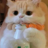 七七
