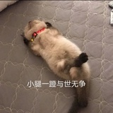 9如风
