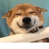 勿拖延
