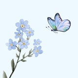 麻花