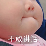 肉饼