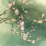 若浅尝辄止