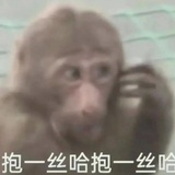 一只癞壳堡