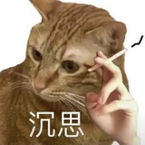 烟民（猫猫版）