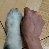 OTTO