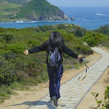 狮子怦怦跳