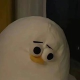 数羊数星星