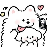 叮咚