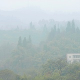 砂糖