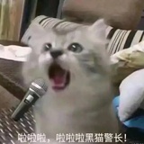 家门口的大槐树