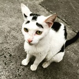 坏人