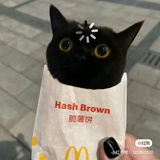 喜林草不好吃