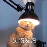 云朵软糖