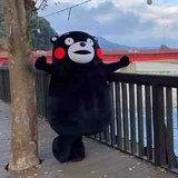 大大大橙子部长