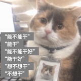 躺在树丛