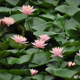 乱翻书