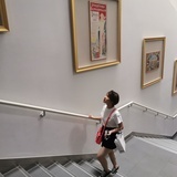 高高喵