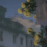 一屋暗灯_