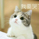 lucky洋洋