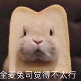 不吃柿子嗯