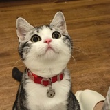 十三楼