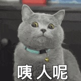 吃顿好的