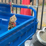 Aware&Remake