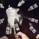 浆果儿