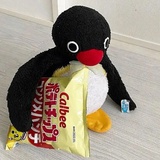 曼妥思耶夫斯基