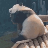 略略略