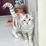 彷徨在大野里