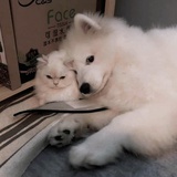 今天没白活