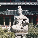 自由观剧人