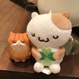 八百标兵奔北啵