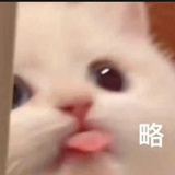 风拂勿拈衣